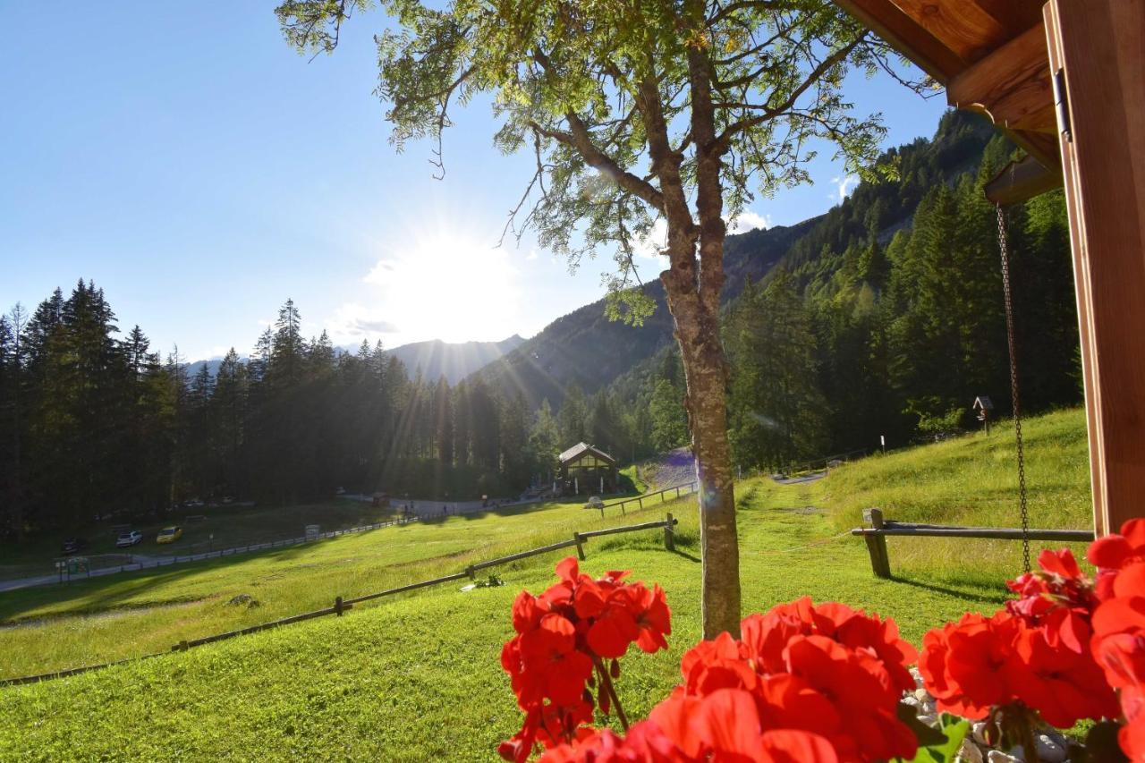 Chalet Brenta Dolomites Madonna Exterior foto